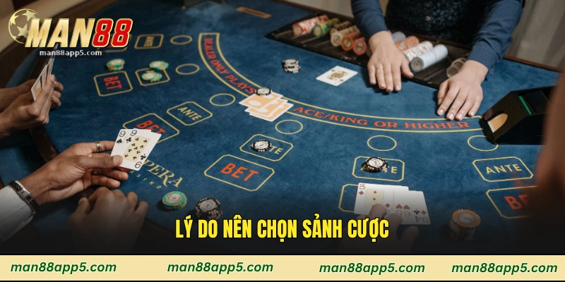 Lý do nên chọn sảnh cược